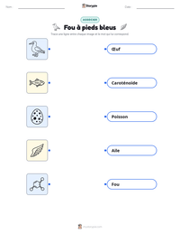Aperçu de la feuille de travail imprimable Fou à pieds bleus