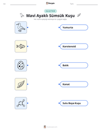 Mavi Ayaklı Sümsük Kuşu yazdırılabilir çalışma sayfası önizlemesi