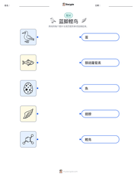 蓝脚鲣鸟 可打印工作表预览