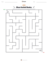 Blue-footed Booby printable worksheet preview