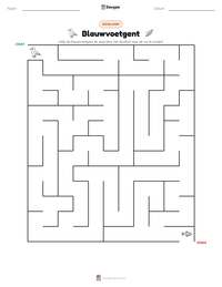 Blauwvoetgent afdrukbare werkblad voorbeeld