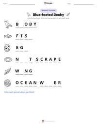 Blue-footed Booby printable worksheet preview