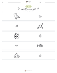 نیلے پیروں والا بوبی پرنٹ کرنے کے قابل ورکشیٹ کا پیش نظارہ