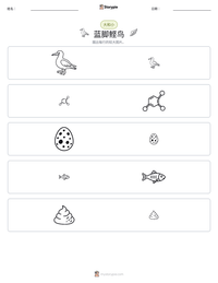 蓝脚鲣鸟 可打印工作表预览