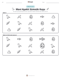 Mavi Ayaklı Sümsük Kuşu yazdırılabilir çalışma sayfası önizlemesi