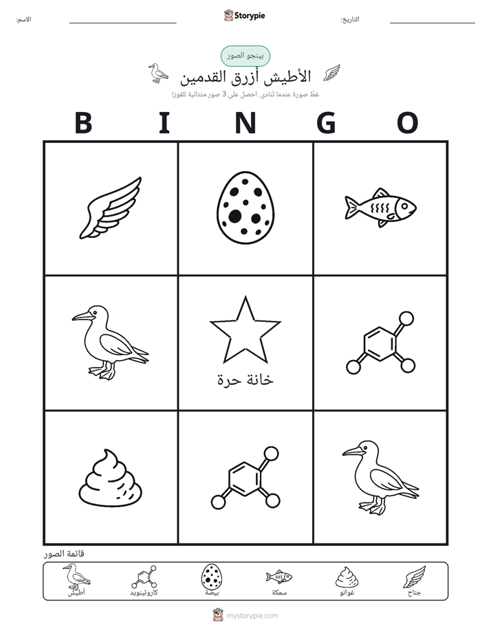 بينغو الصور
