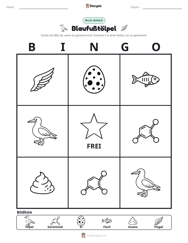 Bild-Bingo