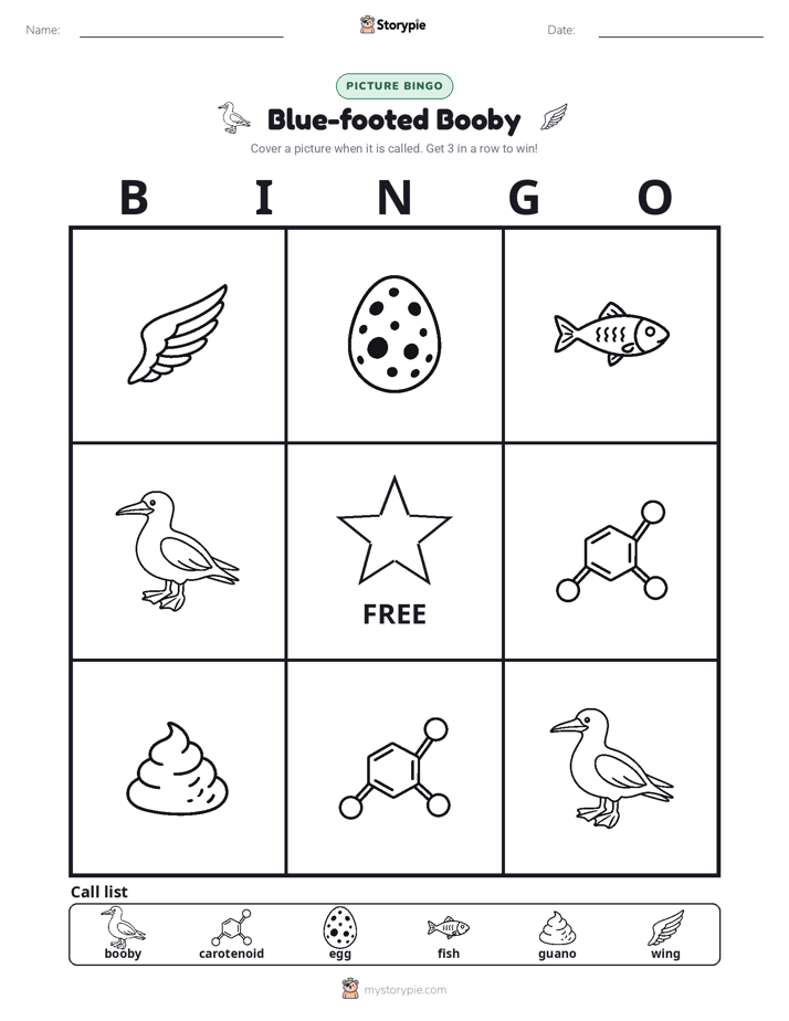 Picture Bingo