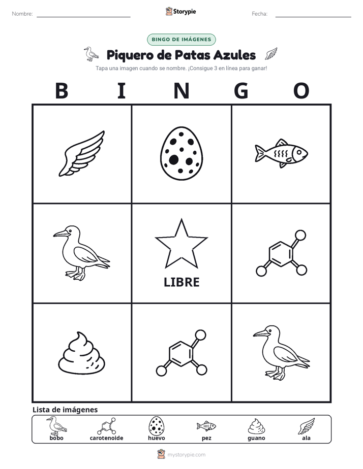 Bingo de Imágenes