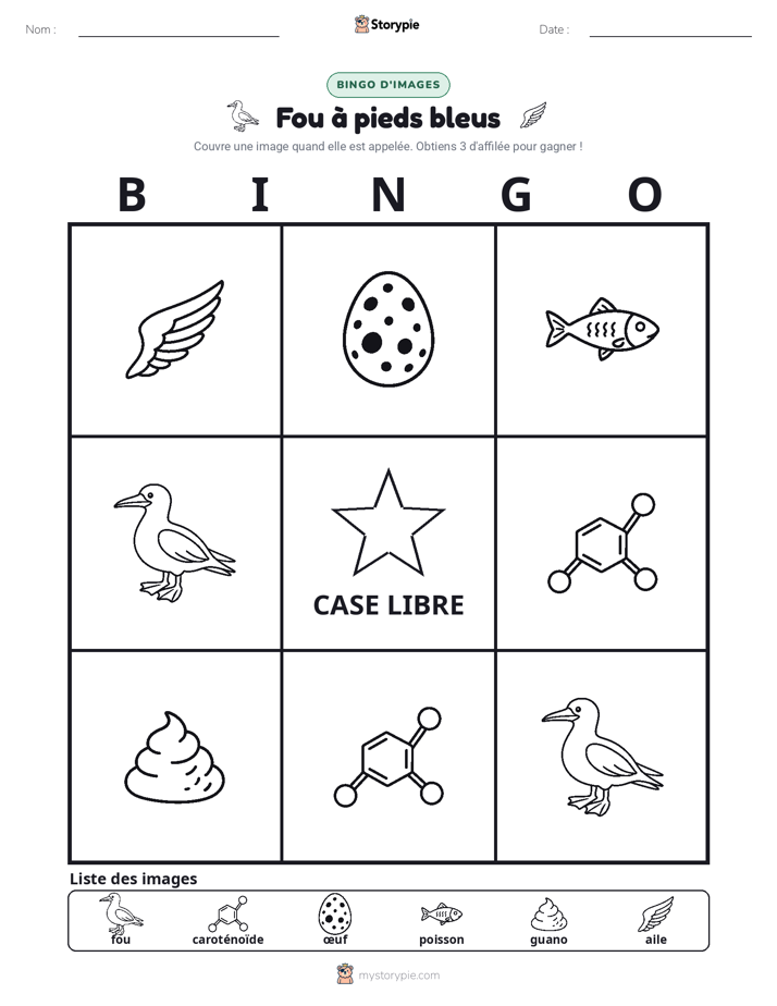 Bingo d'Images
