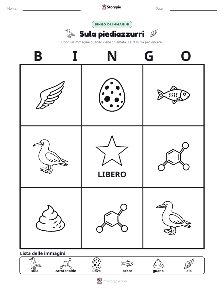 Bingo delle Immagini