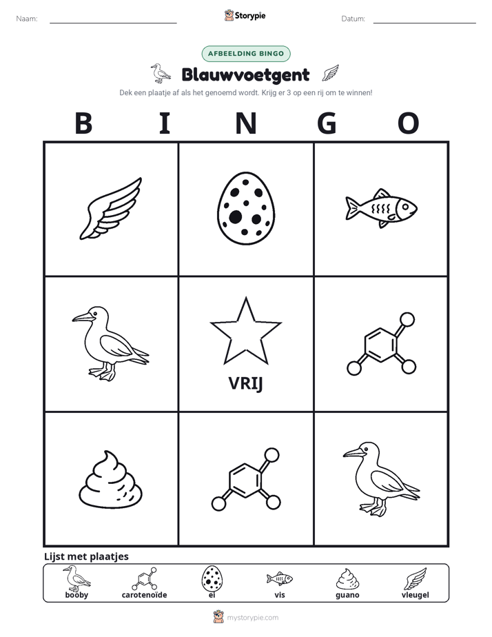 Afbeelding Bingo