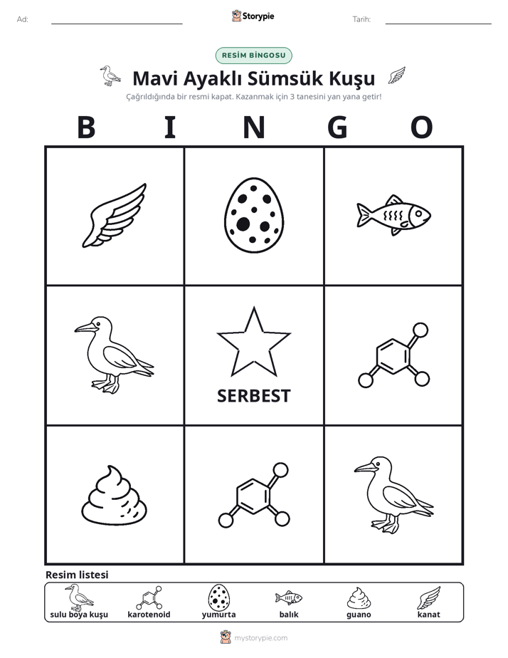 Resim Bingo