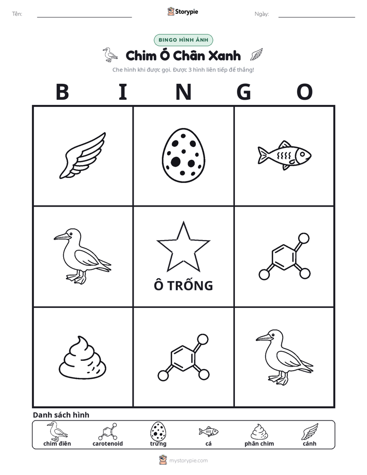 Bingo Hình Ảnh