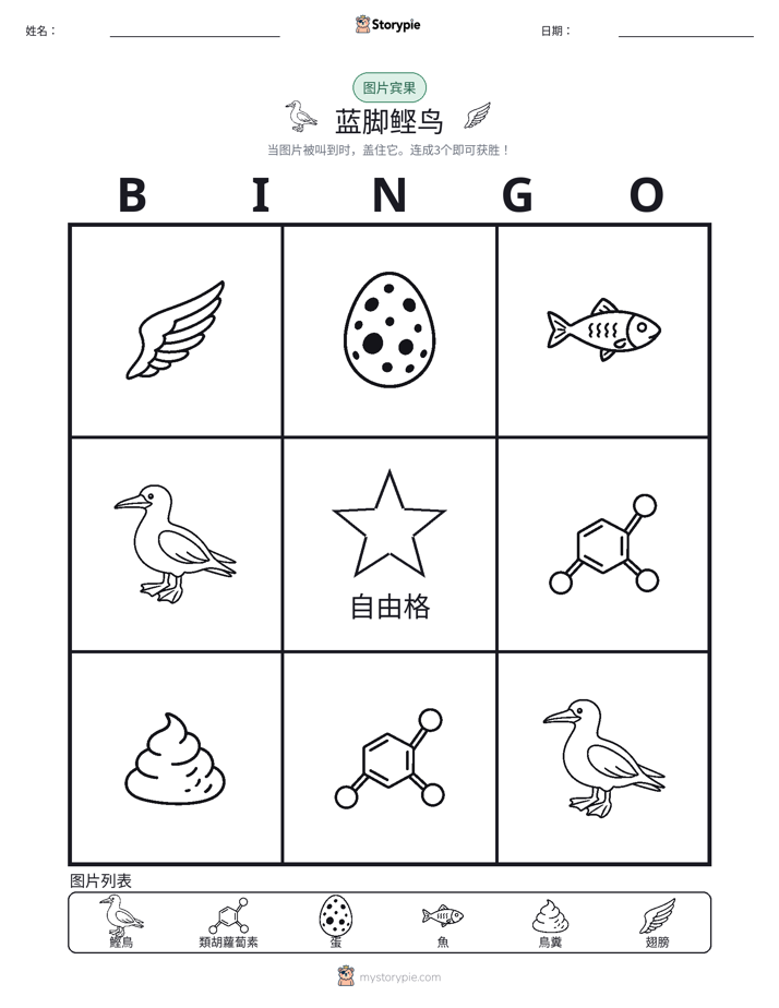 图片宾果