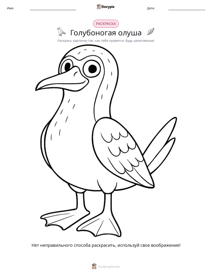 Раскраска