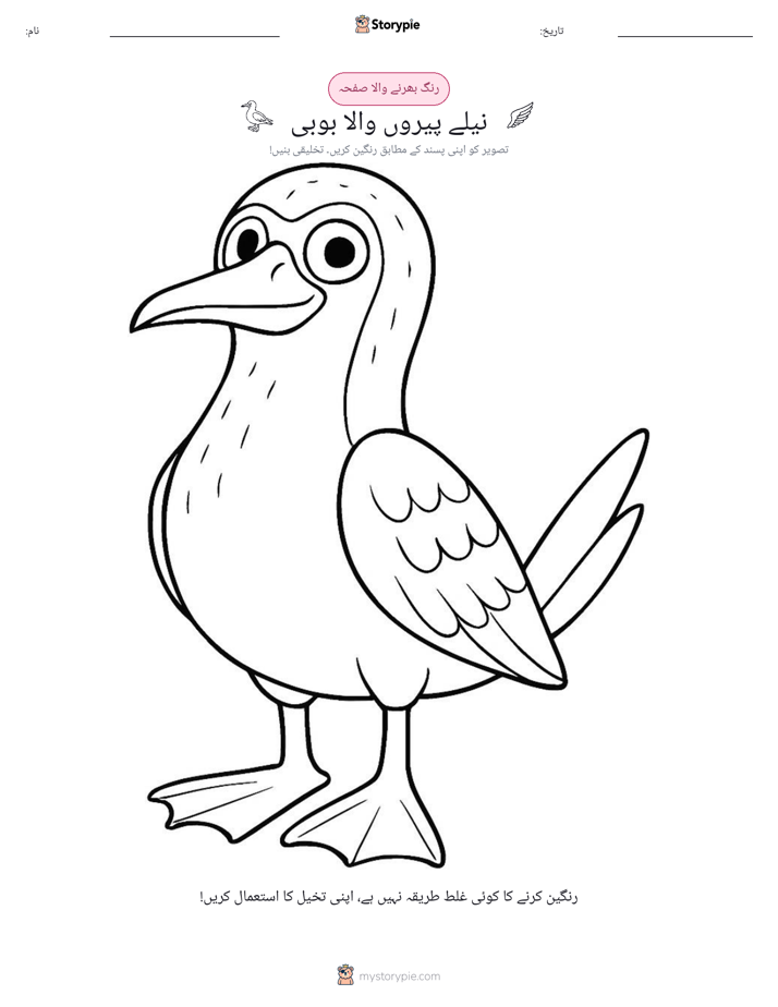 رنگ بھرنے کا صفحہ