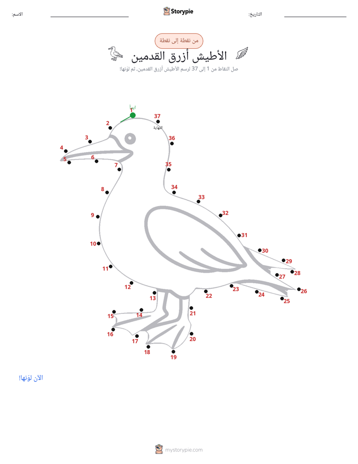 نقطة إلى نقطة