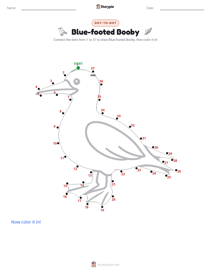Dot to Dot