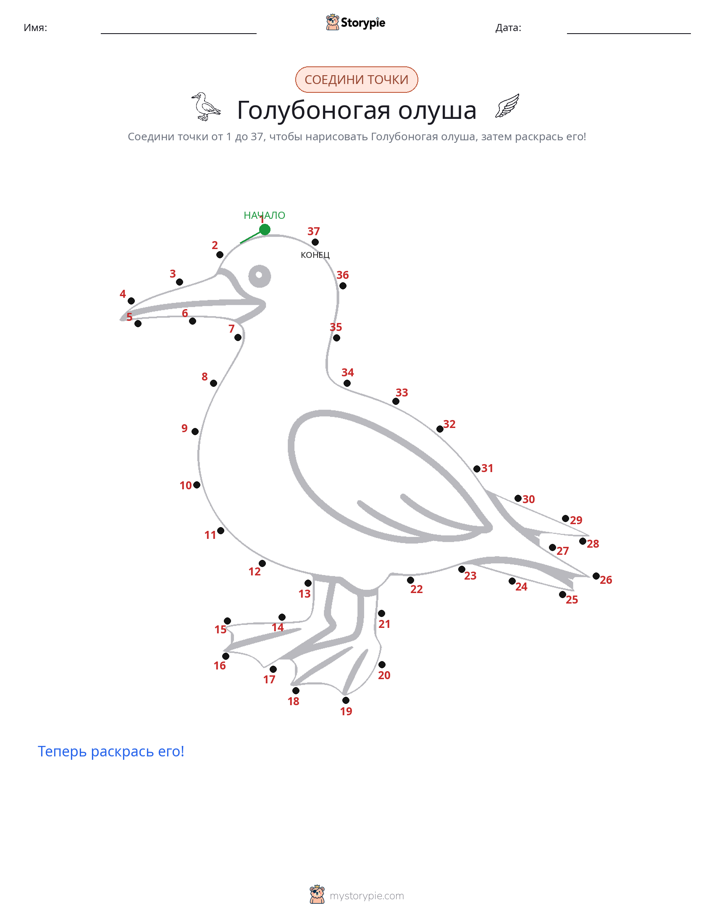 Соедини точки