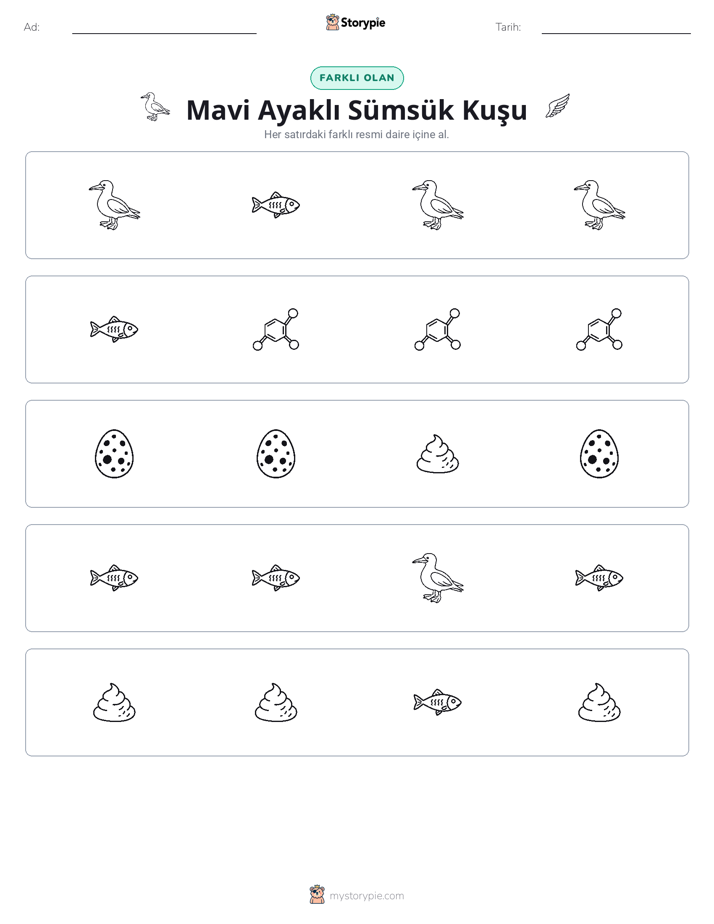 Farklı Olanı Bul