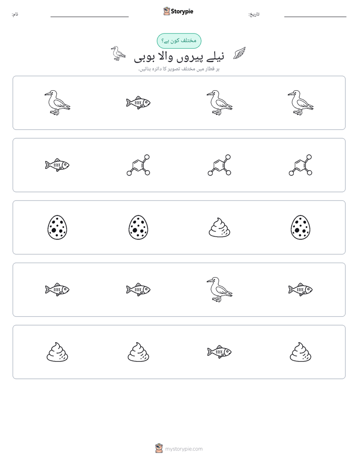 عجیب ایک