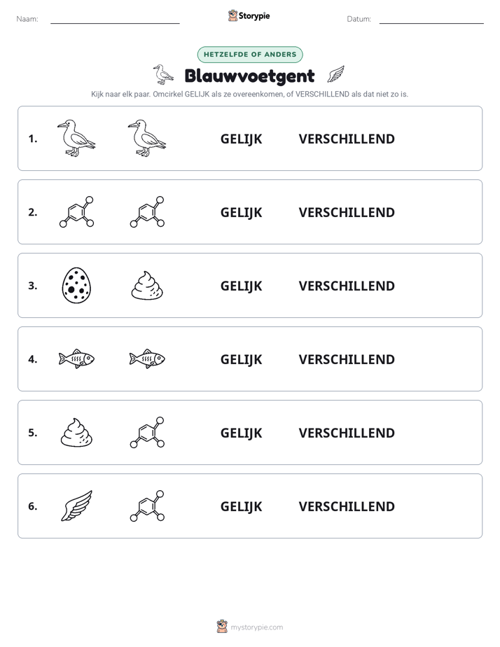 Zelfde of Verschillend