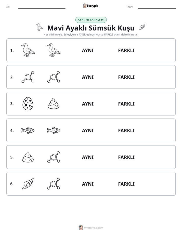 Aynı mı Farklı mı