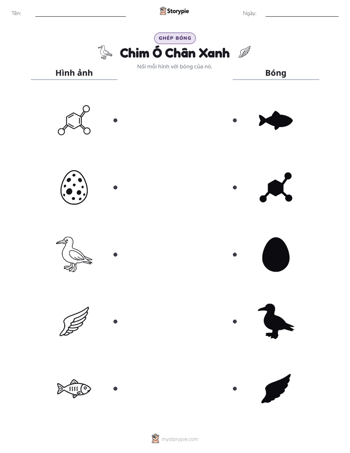 Ghép Hình Bóng