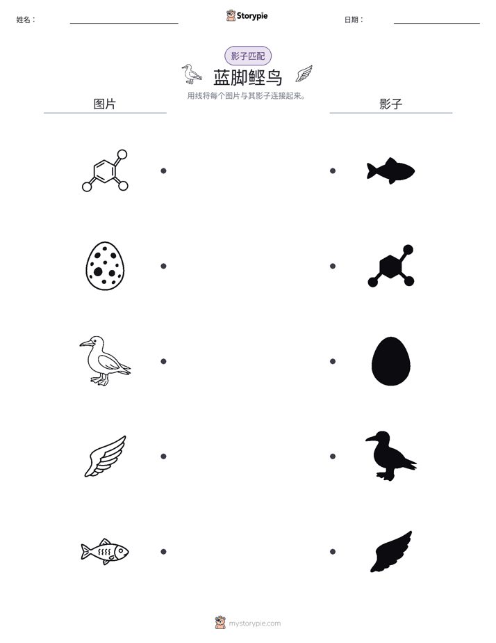 影子匹配
