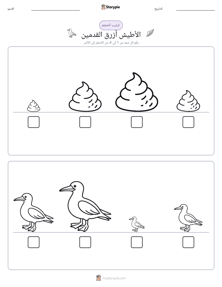 ترتيب الحجم
