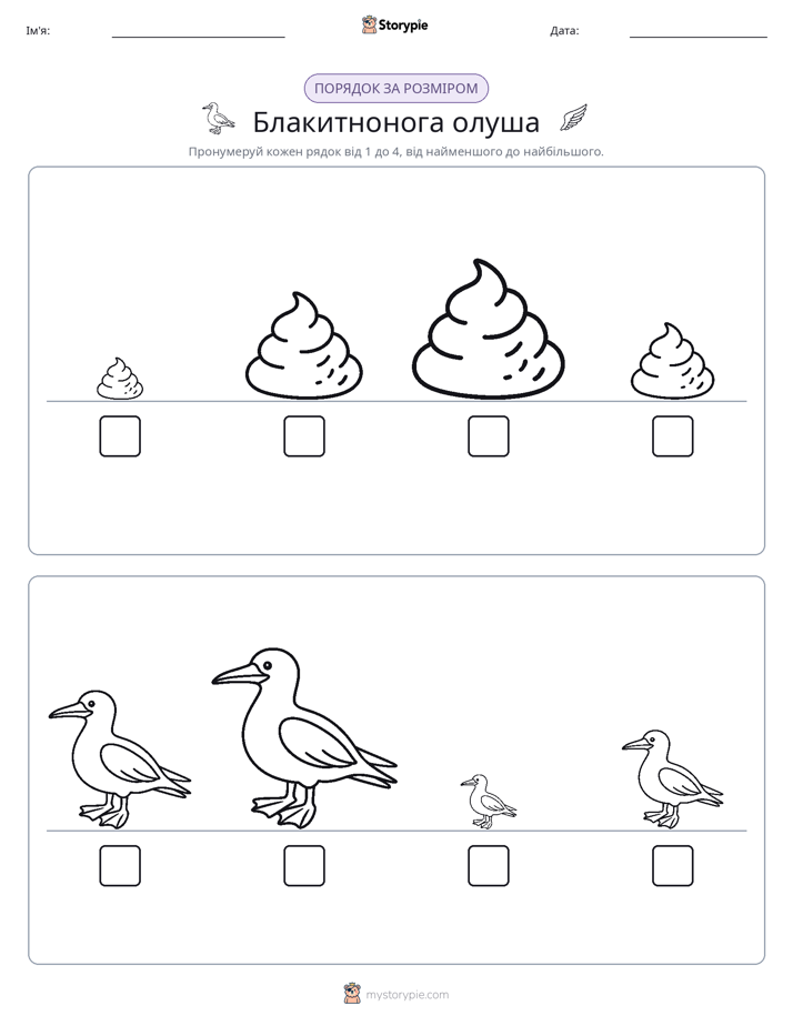 Порядок Розміру