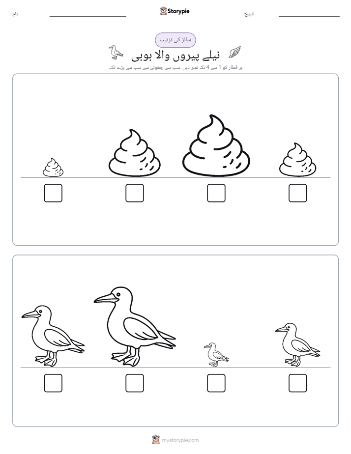 سائز کی ترتیب