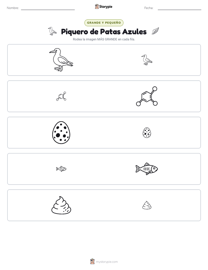 Clasificación