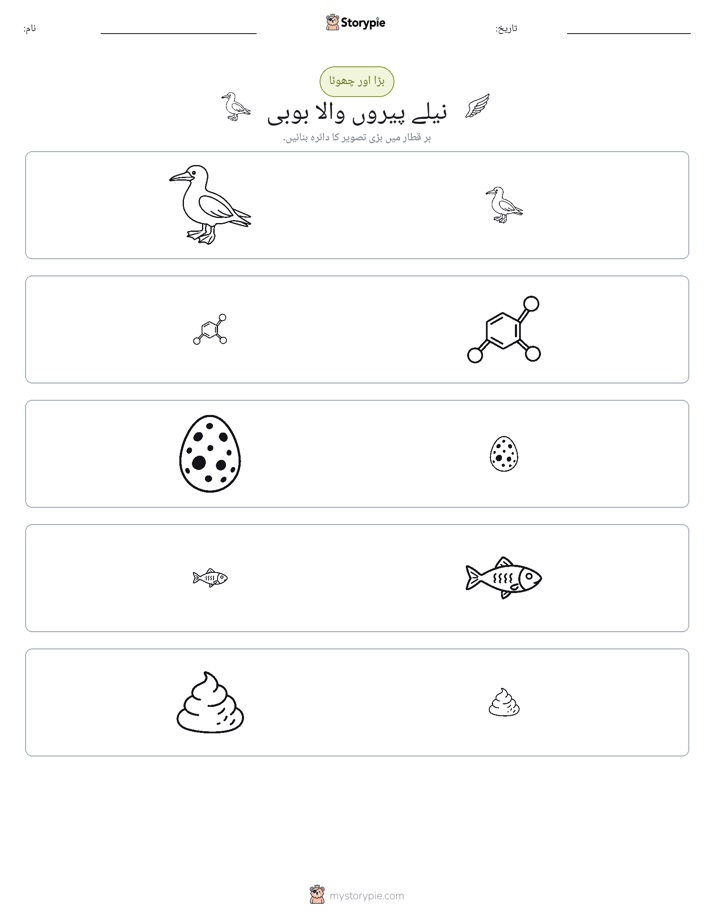 ترتیب دینا