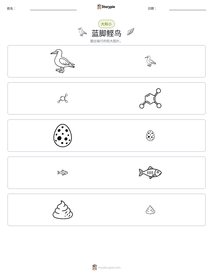 分类