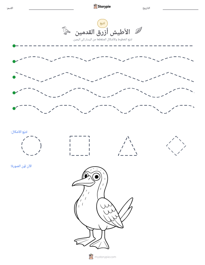 تتبع
