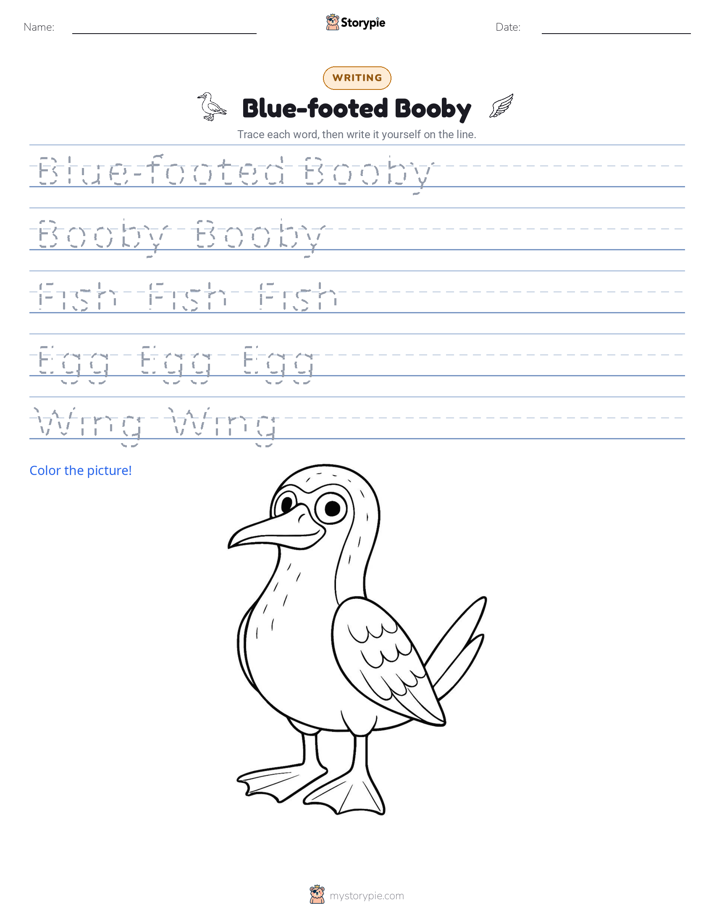 Writing Practice