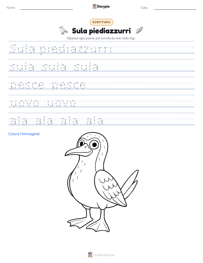 Pratica di Scrittura