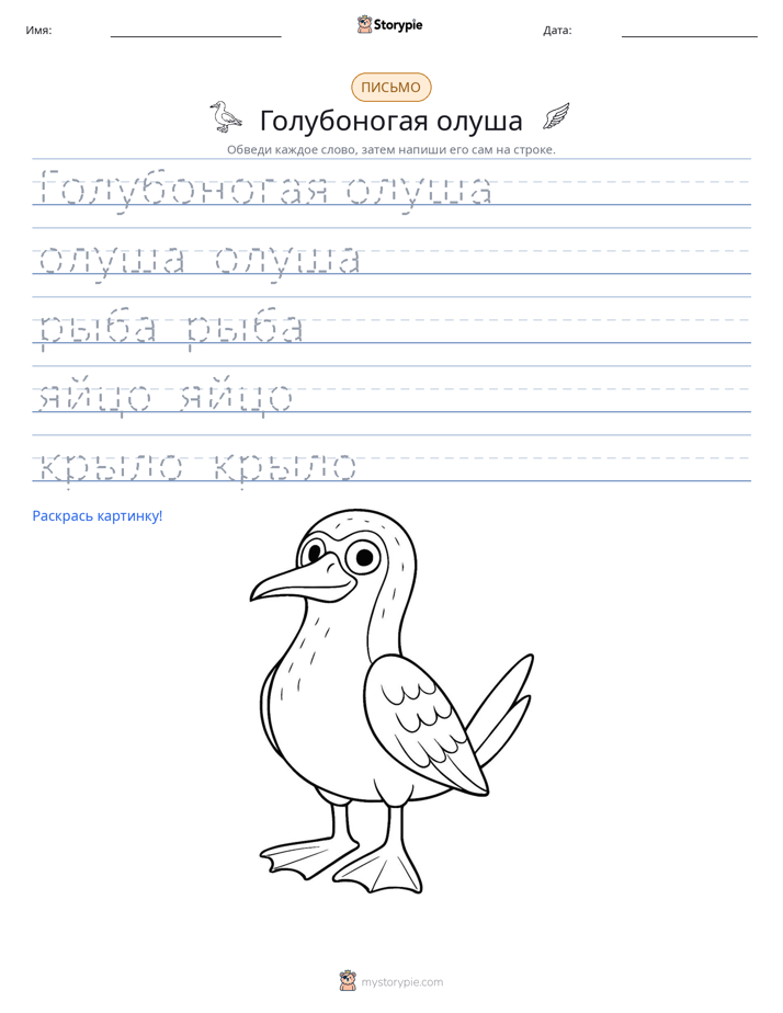 Практика письма