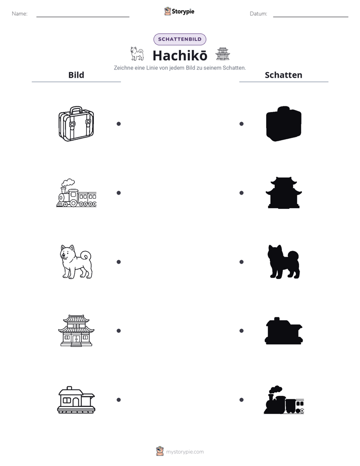 Schattenmatch