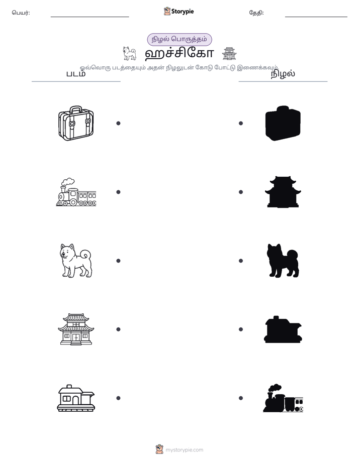 நிழல் பொருத்தம்