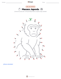 Vista previa de la hoja de trabajo imprimible de Macaco Japonés