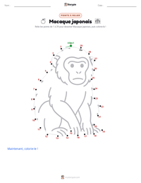 Aperçu de la feuille de travail imprimable Macaque japonais