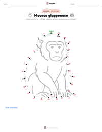 Anteprima della scheda stampabile di Macaco giapponese