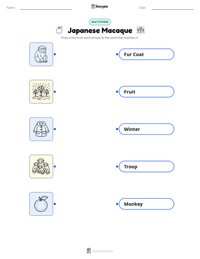 Japanese Macaque printable worksheet preview