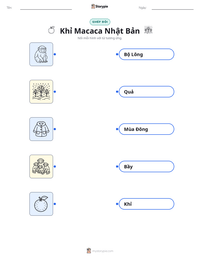 Xem trước tài liệu in sẵn Khỉ Macaca Nhật Bản