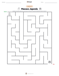 Vista previa de la hoja de trabajo imprimible de Macaco Japonés