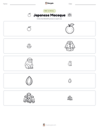 Japanese Macaque printable worksheet preview