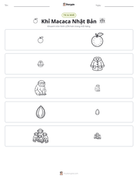 Xem trước tài liệu in sẵn Khỉ Macaca Nhật Bản